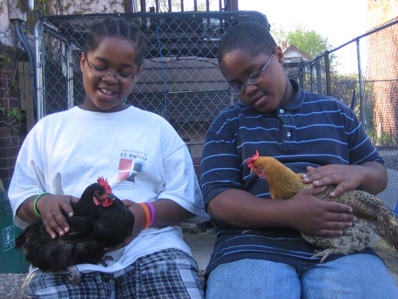 Elijah and Versa, Isaiah and Pa Zsa Zsa, Chicken Run Rescue Sanctuary, Minneapolis, MN